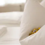 Hotel Fritz Schoene Lage Im Gruenen Mit Regionaler Kueche Kostenfreien Parkplaetzen Und E Ladestation 3*