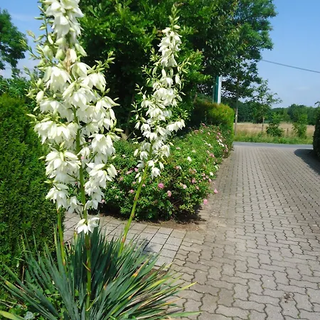 Fritz Schoene Lage Im Gruenen Mit Regionaler Kueche Kostenfreien Parkplaetzen Und E Ladestation Schwerin (Mecklenburg-Vorpommern)