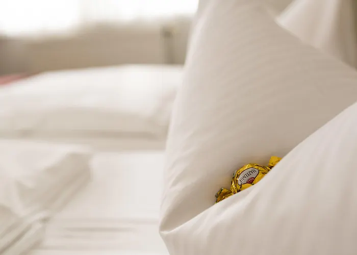 Hotel Fritz Schöne Lage Im Grünen Mit Regionaler Küche Kostenfreien Parkplätzen Und E Ladestation 3*