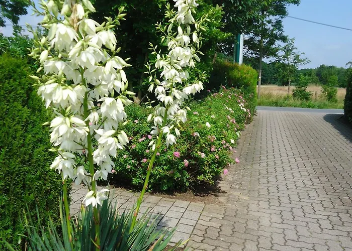 Fritz Schöne Lage Im Grünen Mit Regionaler Küche Kostenfreien Parkplätzen Und E Ladestation Schwerin (Mecklenburg-Vorpommern)